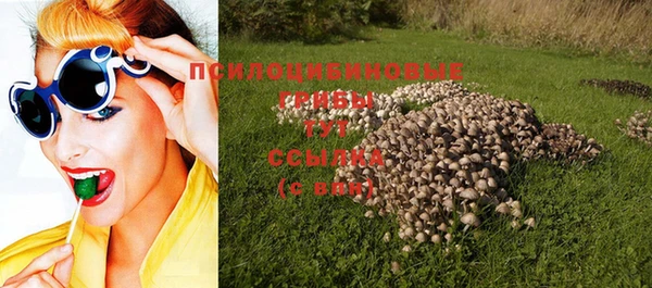 метадон Туринск