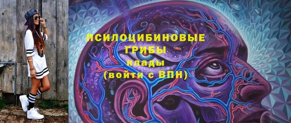прущие грибы Тутаев